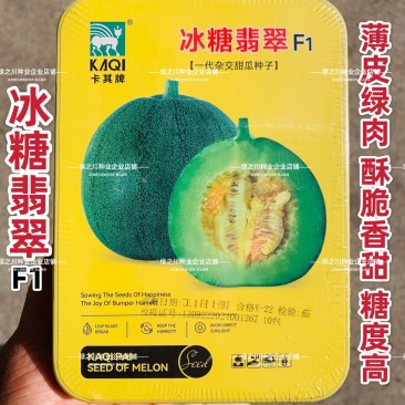 绿肉高糖冰糖翡翠甜瓜种子酥脆超甜薄皮绿宝甜瓜种子香甜