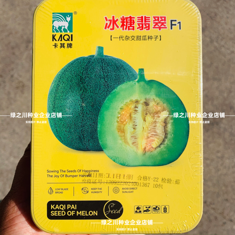 绿肉高糖冰糖翡翠甜瓜种子酥脆超甜薄皮绿宝甜瓜种子香甜
