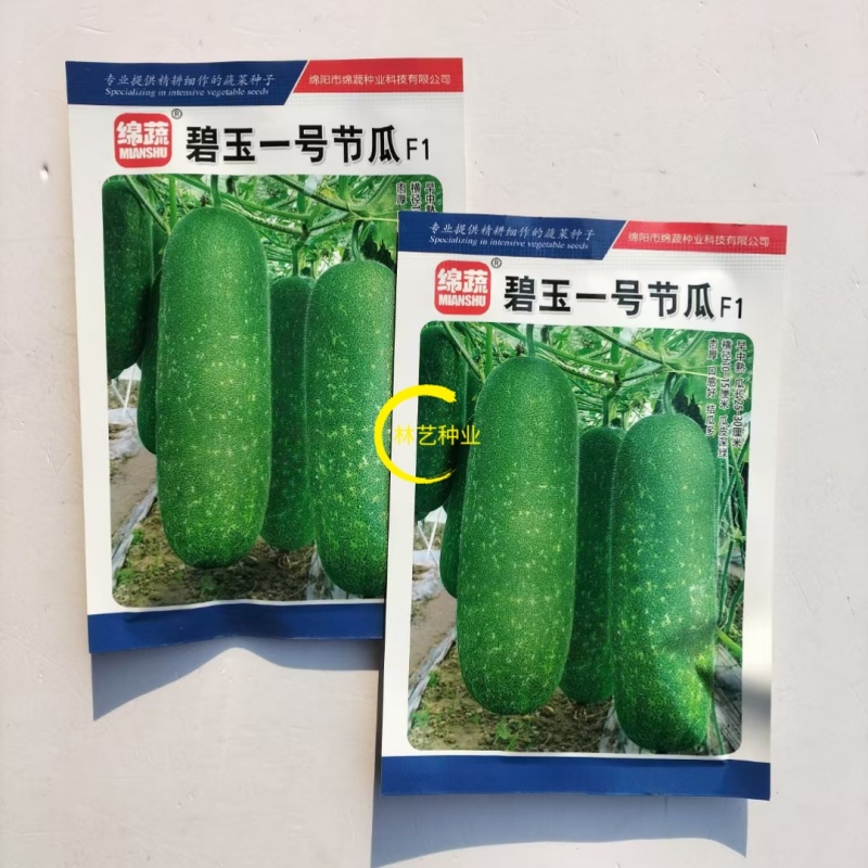 碧玉一号节瓜种子早中熟深绿皮小冬瓜种子圆筒形小节瓜种子有