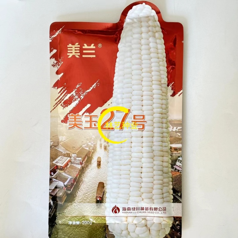 美玉27号甜加糯玉米种子甜味糯白玉米加甜糯早熟矮杆大棒