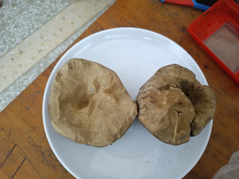 海南老黄油沉香