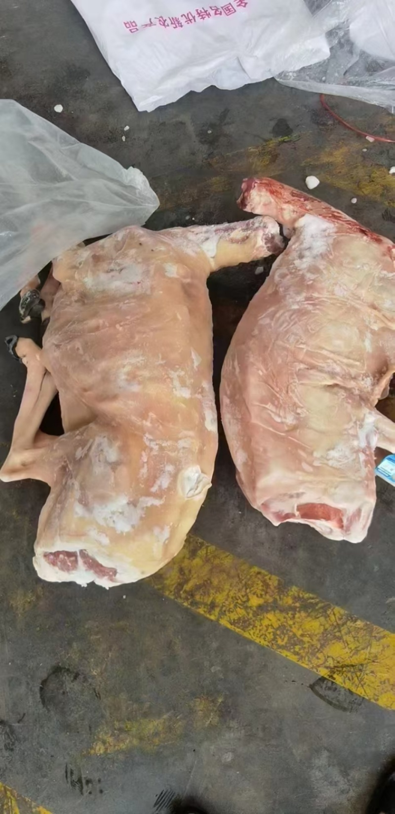 白条羊好吃不贵