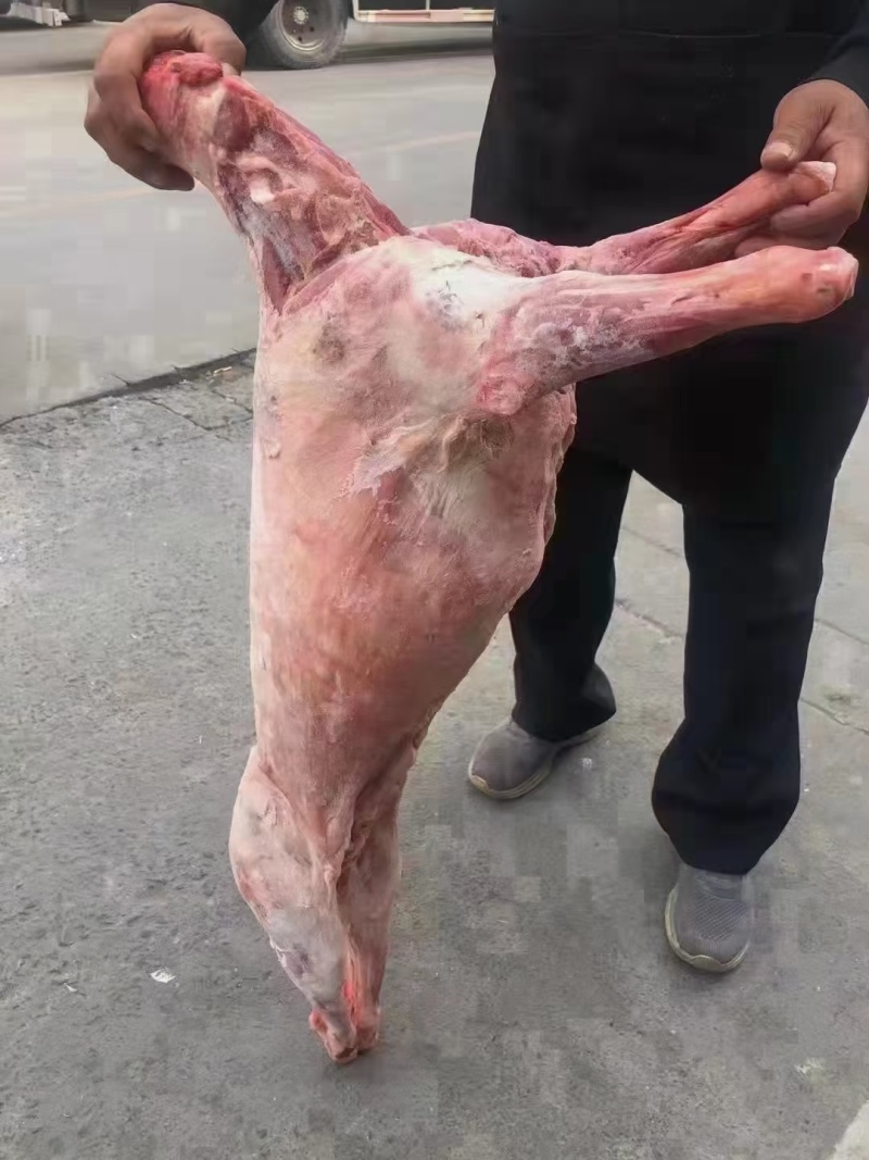 白条羊好吃不贵