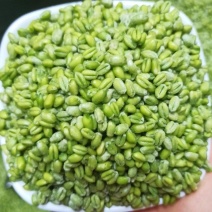 青麦仁源头厂家供货！质量保证价格优惠！欢迎电商实体经销商