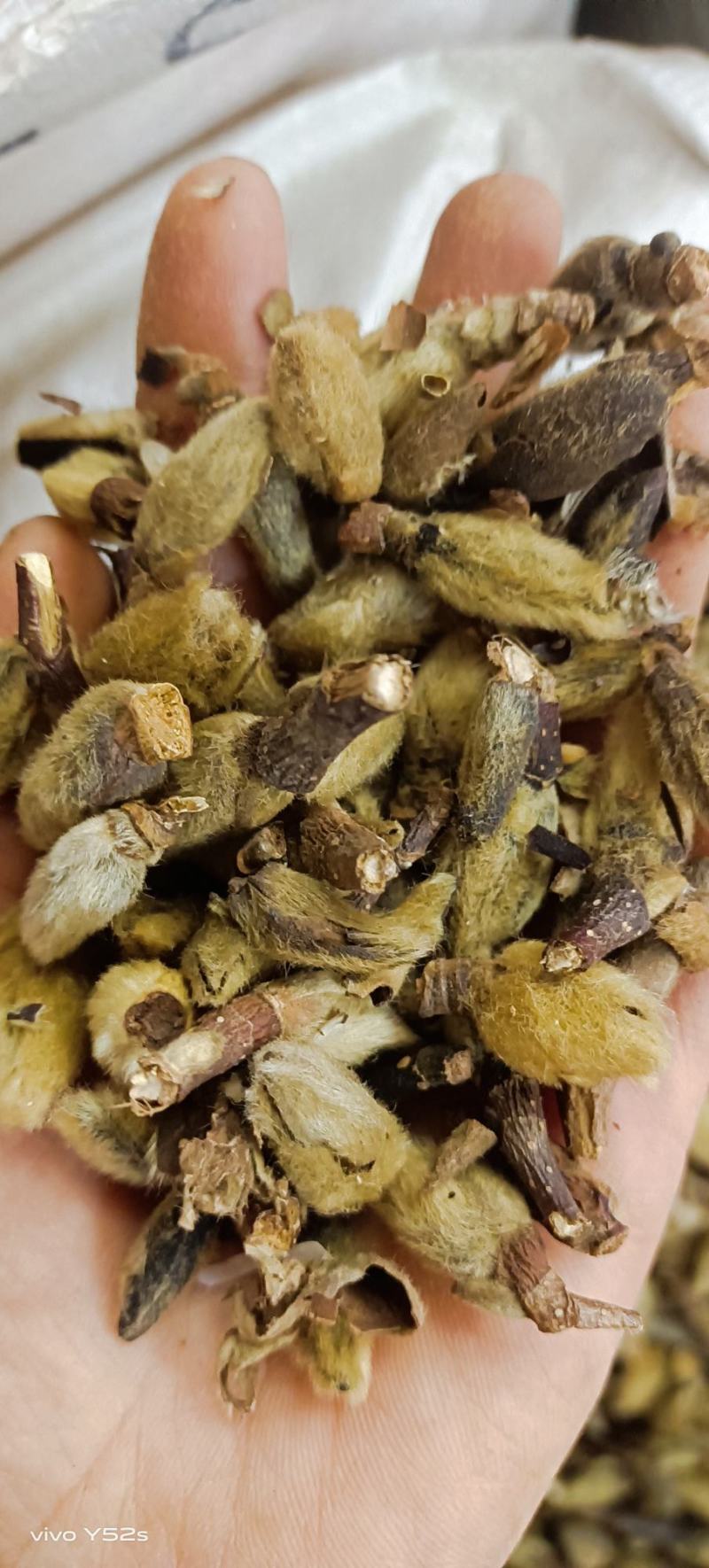 辛夷花各种中药材名贵药材冷背药材批发