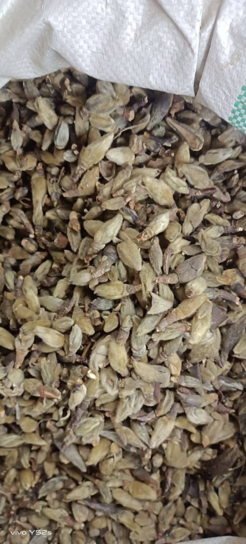 辛夷花各种中药材名贵药材冷背药材批发