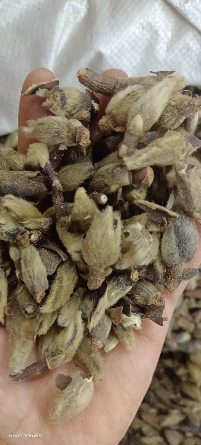 辛夷花各种中药材名贵药材冷背药材批发