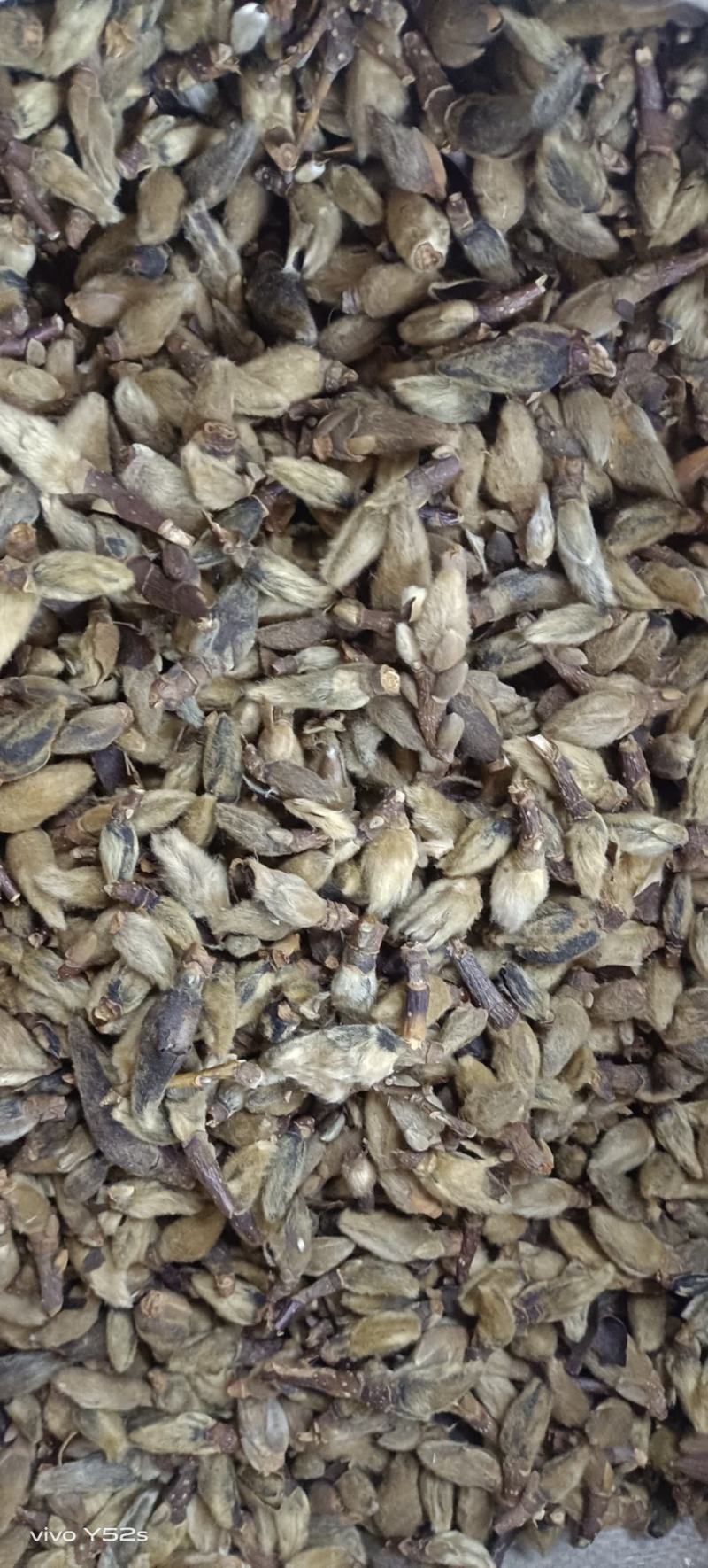 辛夷花各种中药材名贵药材冷背药材批发