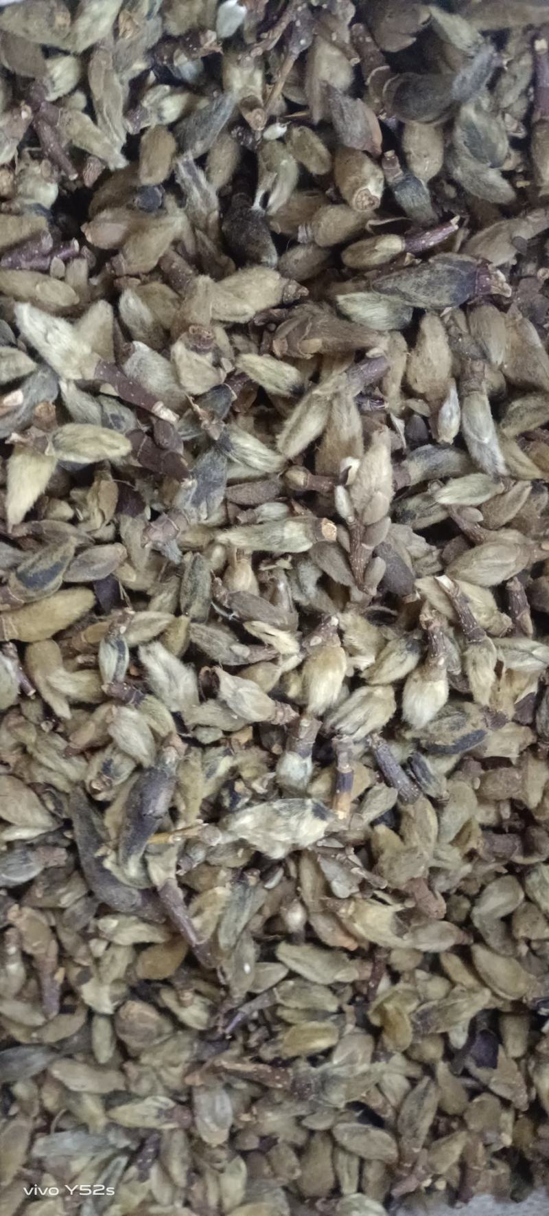 辛夷花各种中药材名贵药材冷背药材批发