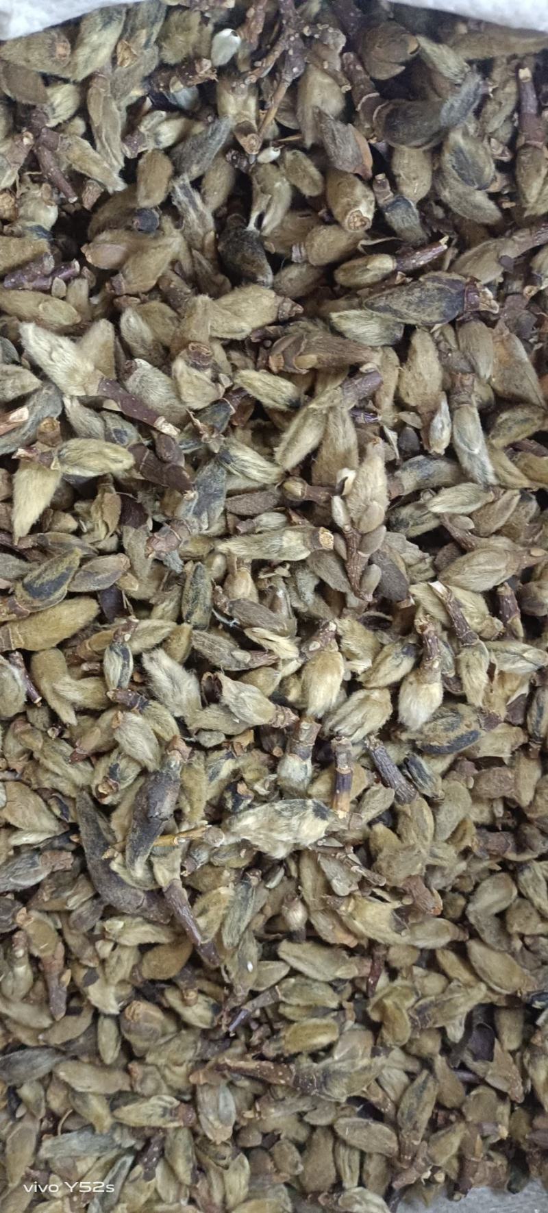 辛夷花各种中药材名贵药材冷背药材批发