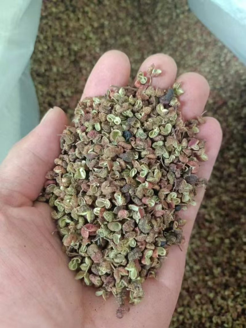 {诚信商家}陕西大红袍花椒，基地直发，量大从优，欢迎来电