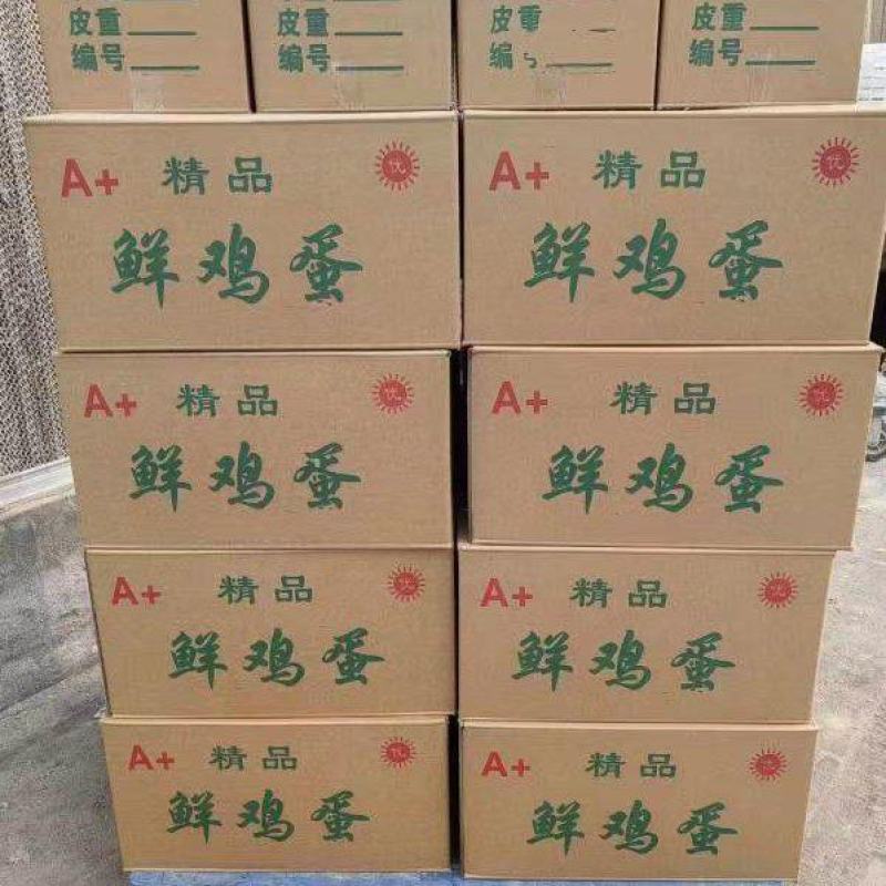 三黄鸡粉壳黄心鸡蛋净重44斤，一箱360枚，155元一箱