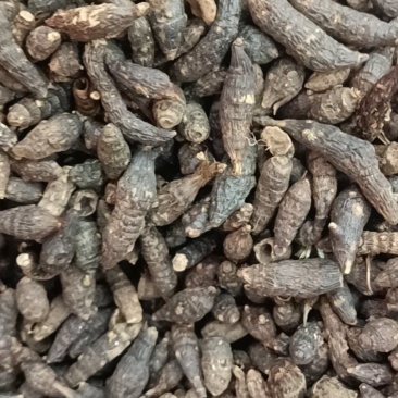 香附各种规格主营各种中药材名贵药材冷背药材需要的老板欢迎选购