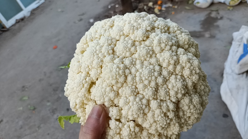 有机花菜