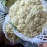 有机花菜
