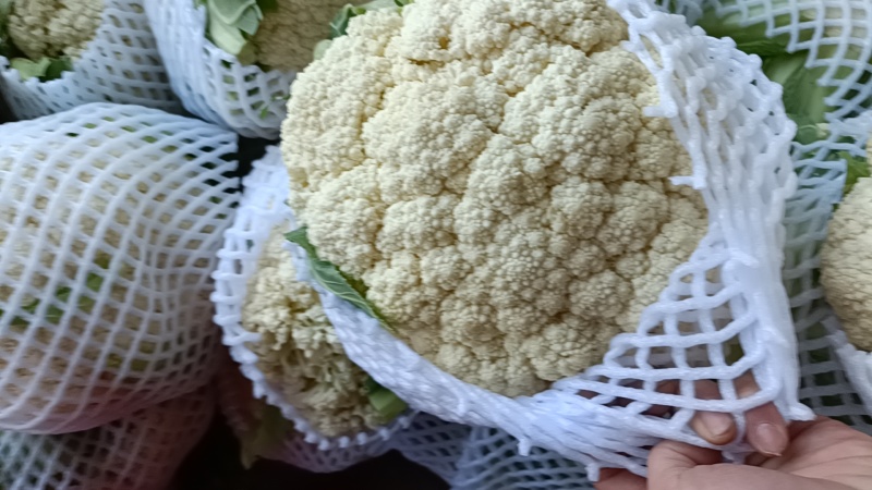 有机花菜