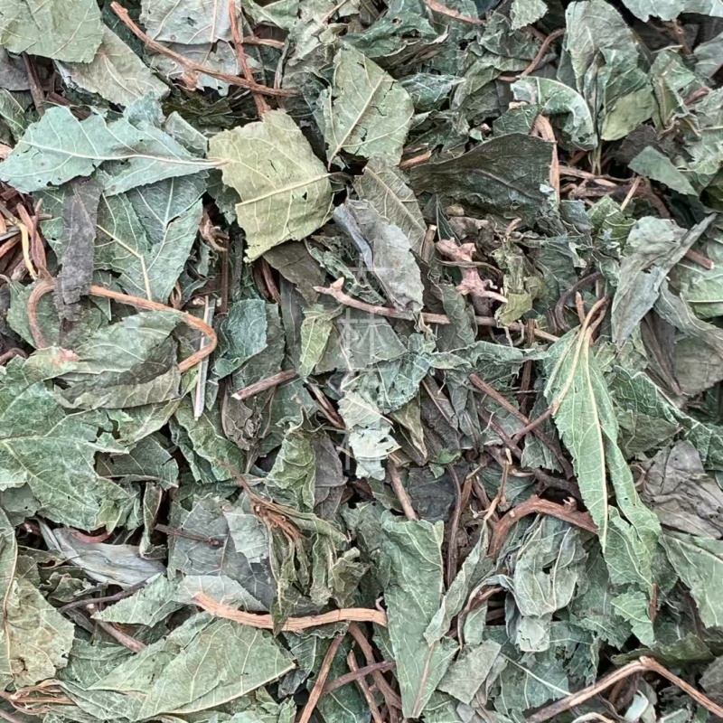 矮地茶【包邮】三斤起发货可批量可零售量大从优