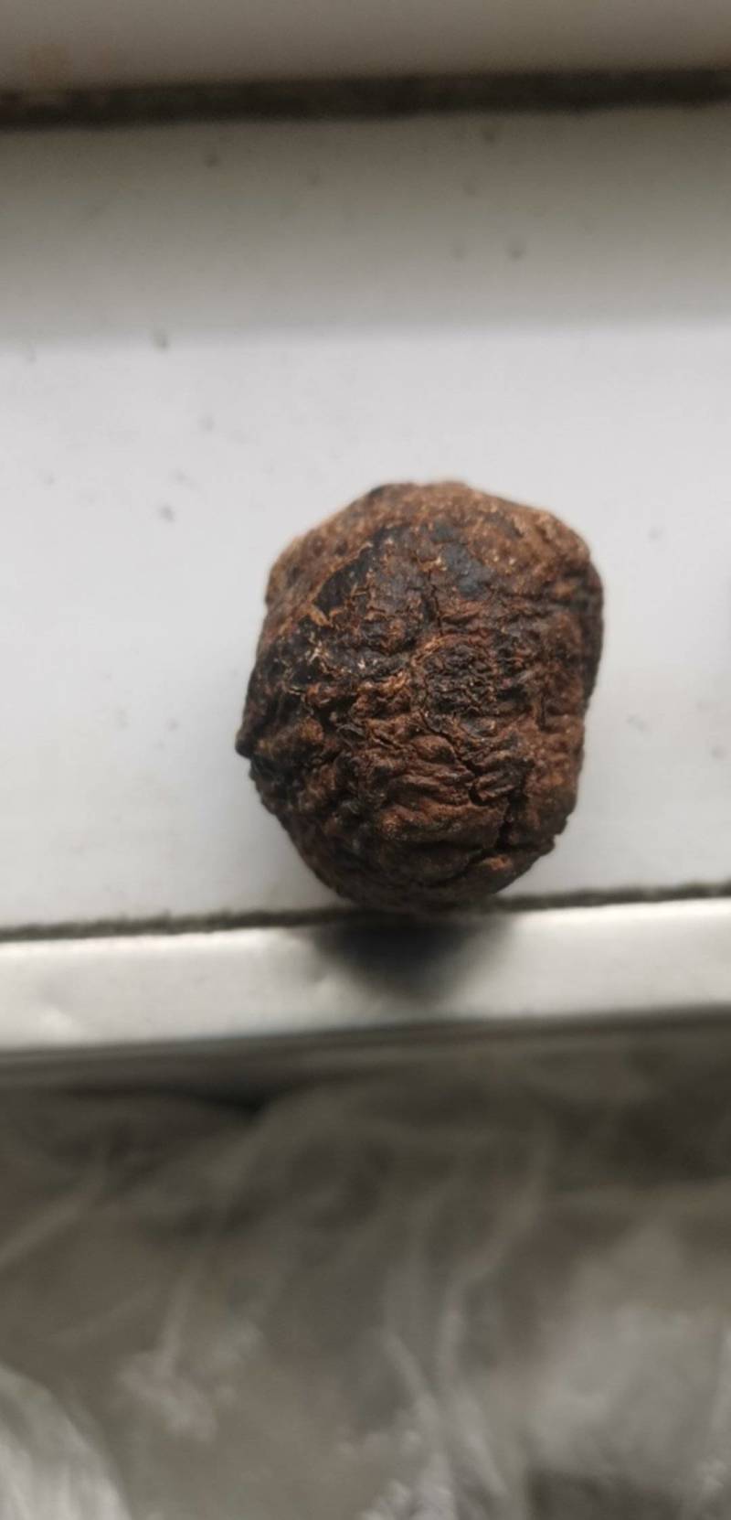 鹅宝