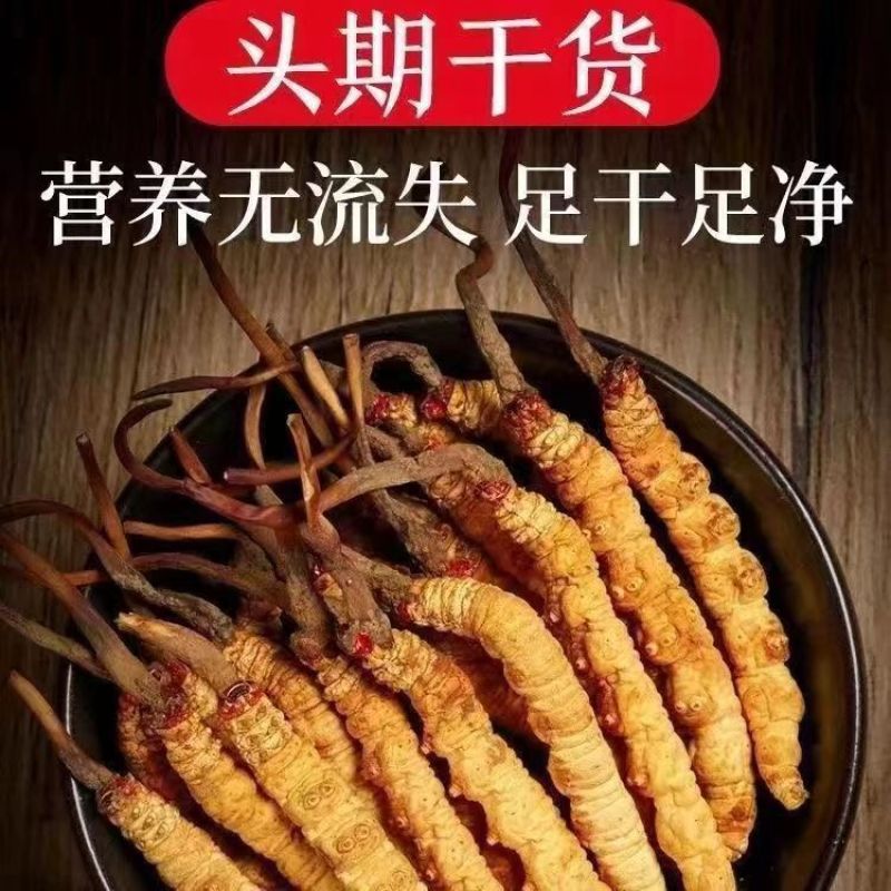 冬虫夏草西藏那曲干虫草迎新春促销虫草精品大量供应虫草礼盒礼品