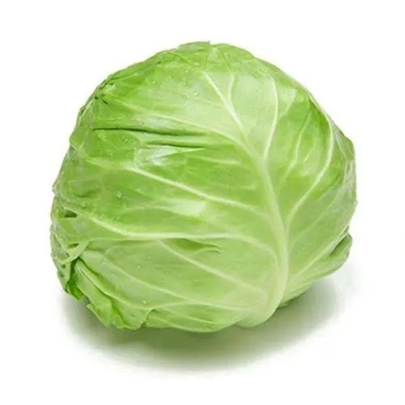 甘蓝包菜圆包菜产地一手保质保量