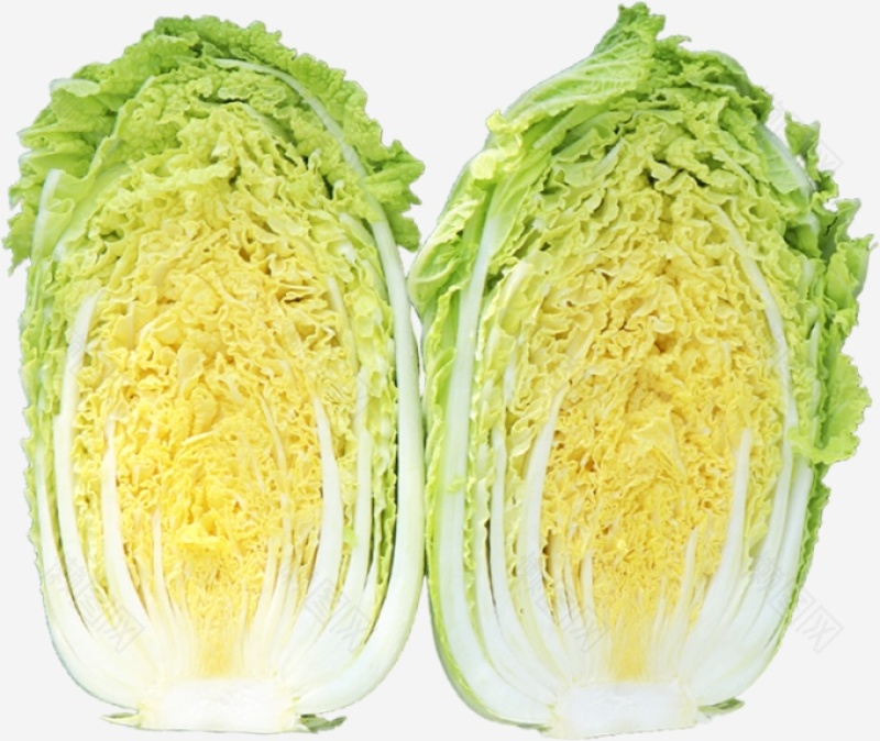 白菜黄心白菜产地一手保质保量自己种植