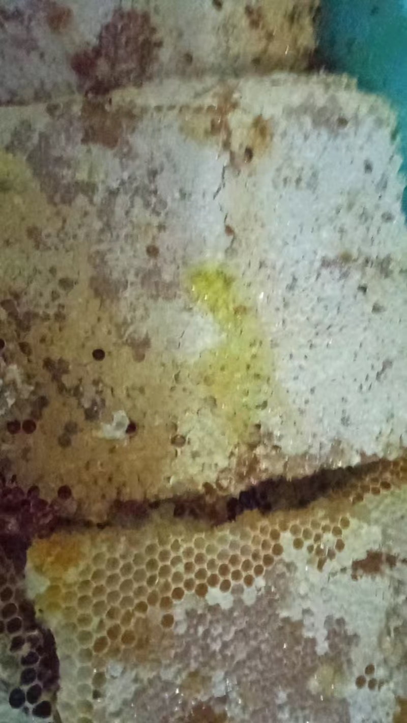 土蜂蜜质量保证一手货源需要的老板请联系