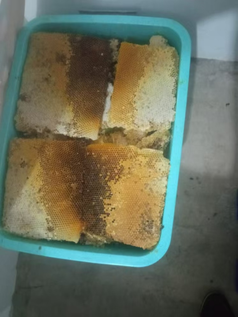 土蜂蜜一年产一次的土蜂蜜