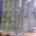 包菜扁包菜金丰奥奇娜产地一手保质保量