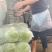 包菜扁包菜金丰奥奇娜产地一手保质保量