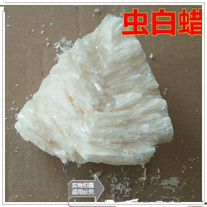 中药材好虫白蜡白蜡虫蜡川蜡虫白蜡