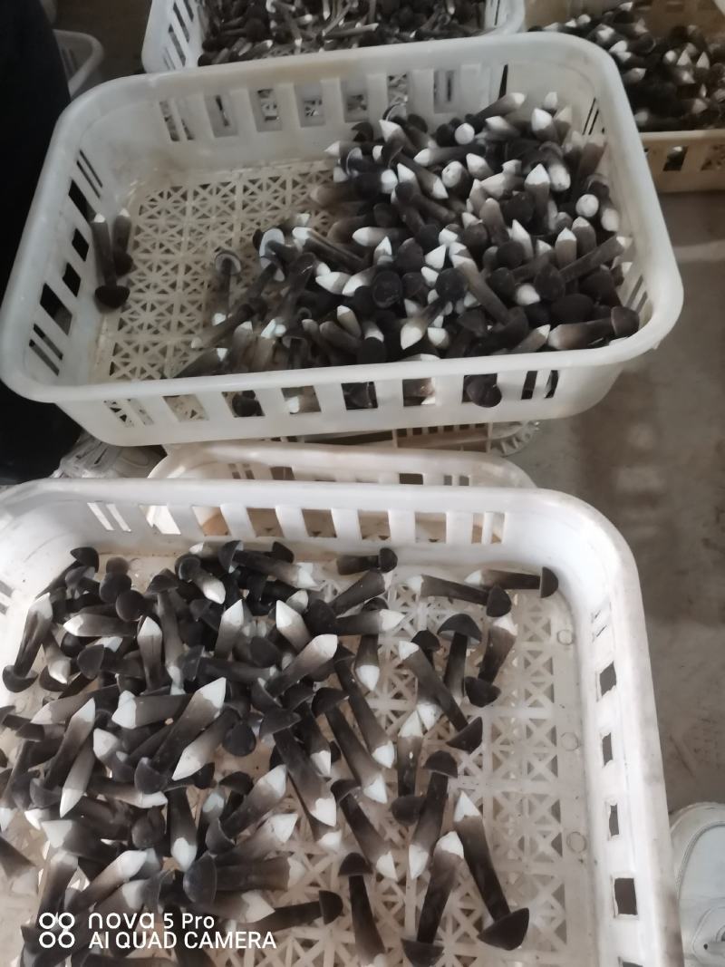 基地直供，货品保证，鲜甜可口，鲜品现货现发