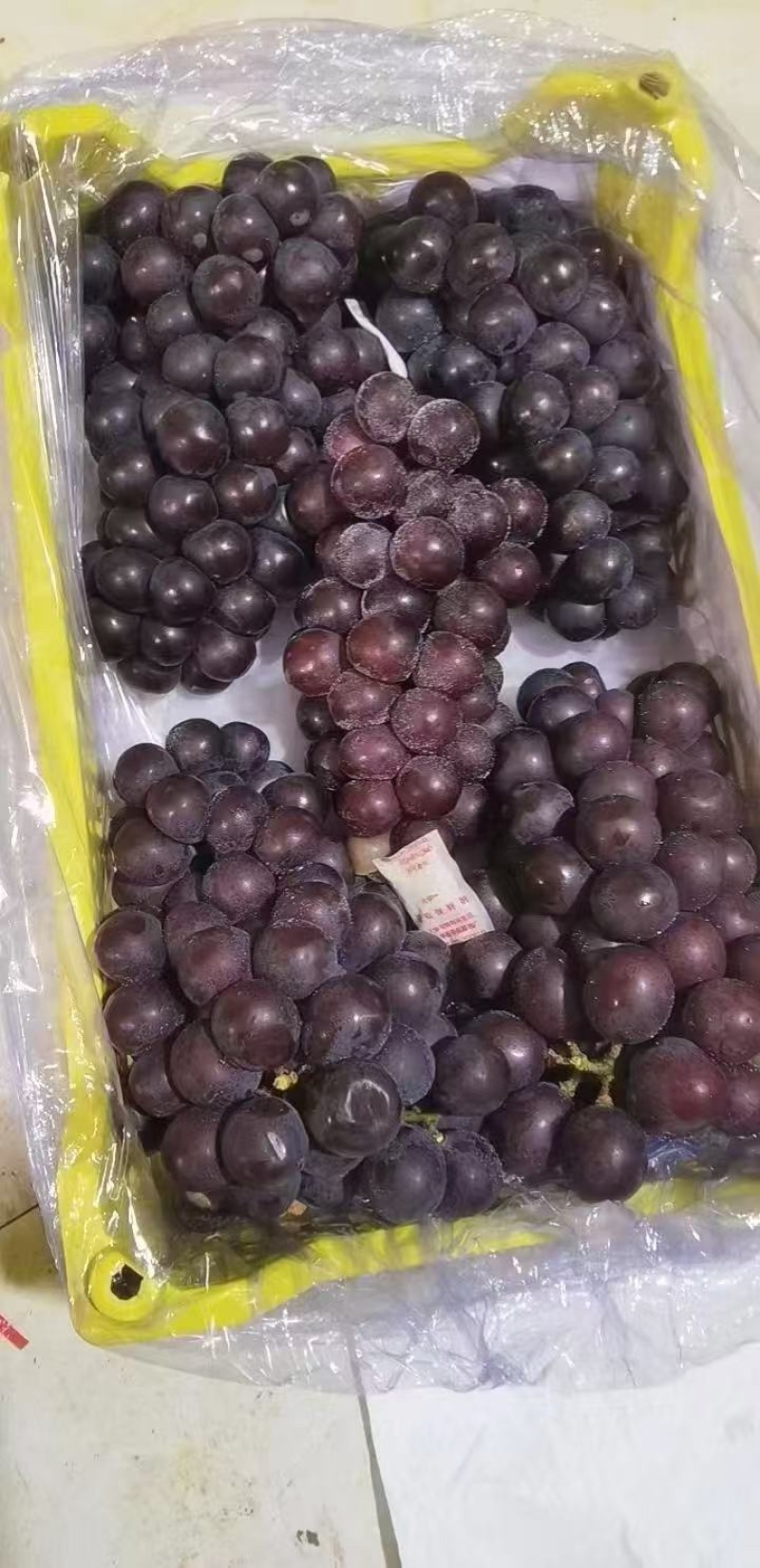 葡萄巨峰葡萄冷库货口感好不掉粒品质保障欢迎咨询