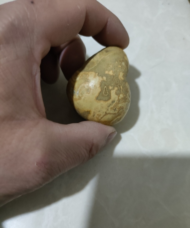 羊宝