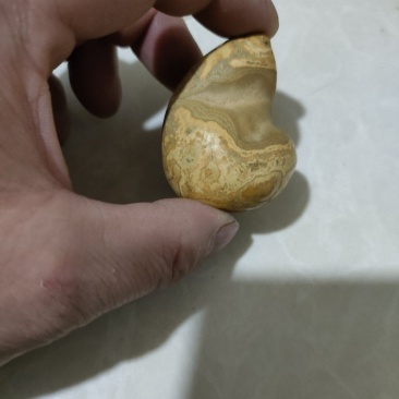 羊宝