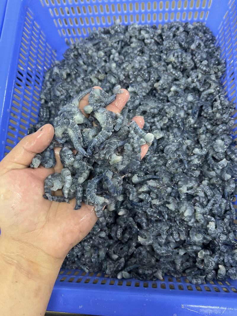 黑虎虾仁源头生产贸易，支持全规格订做，欢迎批发代理