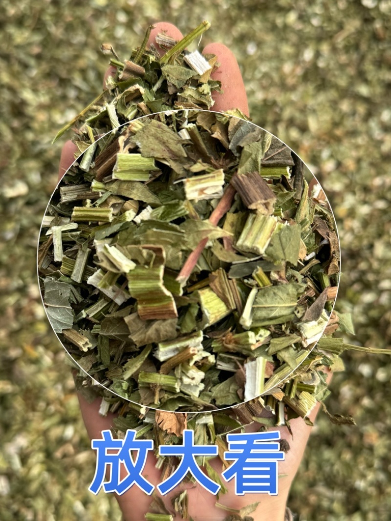 泽兰泽兰叶过筛货货干净泽兰实物拍摄泽兰