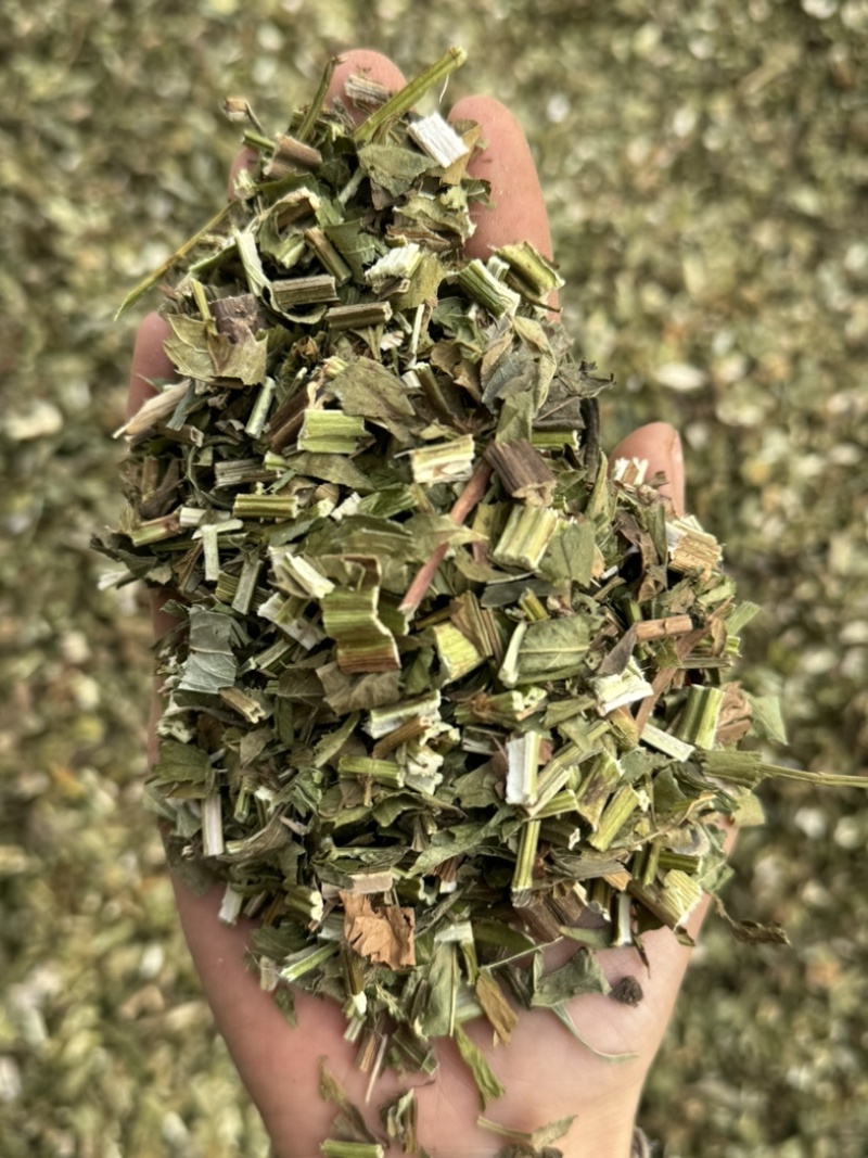 泽兰泽兰叶过筛货货干净泽兰实物拍摄泽兰