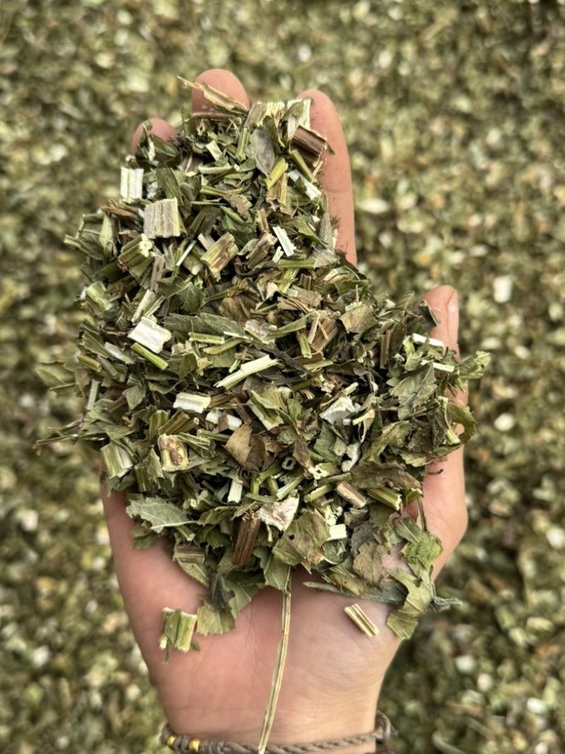 泽兰泽兰叶过筛货货干净泽兰实物拍摄泽兰