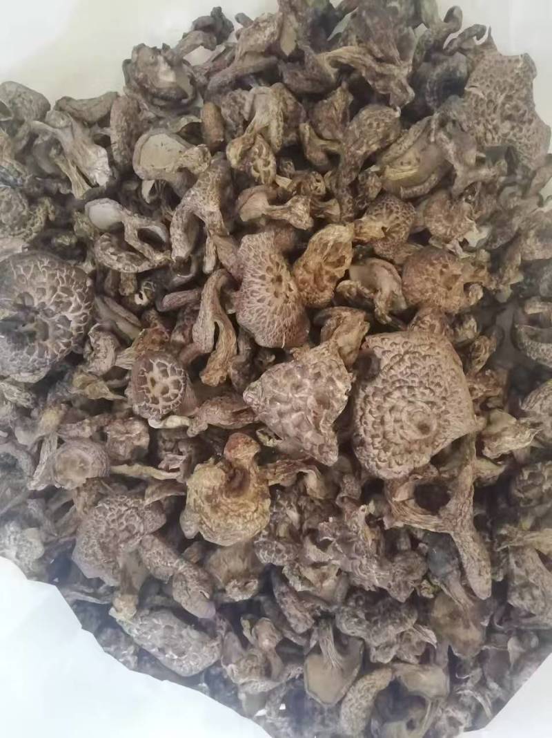 甄选四川松茸干片黑白都有品质您放心价格规格可致电沟通
