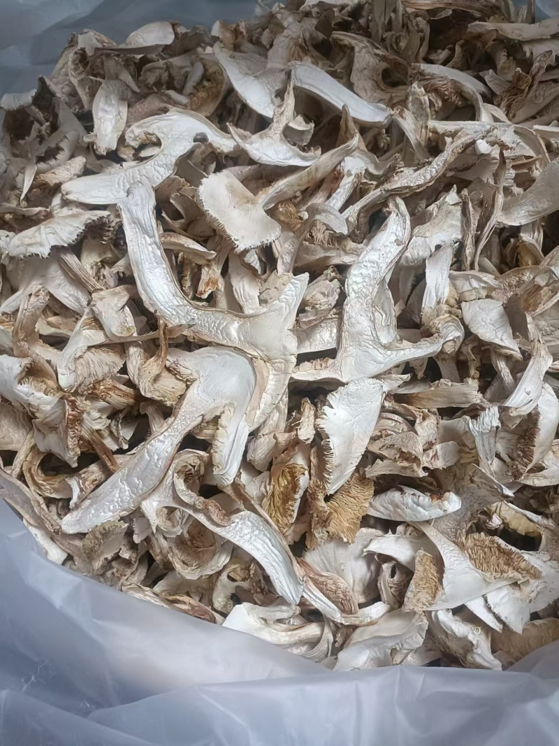 甄选四川松茸干片黑白都有品质您放心价格规格可致电沟通
