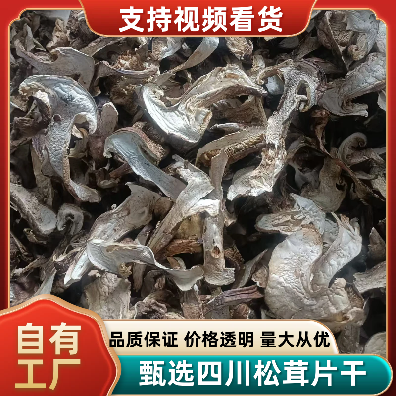 甄选四川松茸干片黑白都有品质您放心价格规格可致电沟通