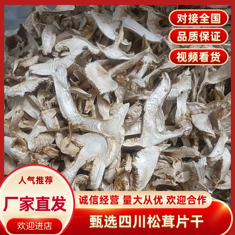 甄选四川松茸干片黑白都有品质您放心价格规格可致电沟通