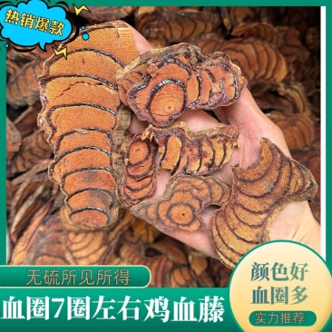 【热销货对版】鸡血藤血圈7圈左右过筛颜色好血圈多干货