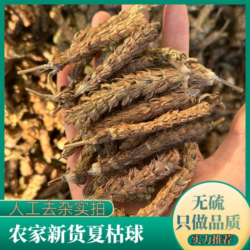 【货对版夏枯球】夏枯草无掺杂质干净货无杂质过筛货