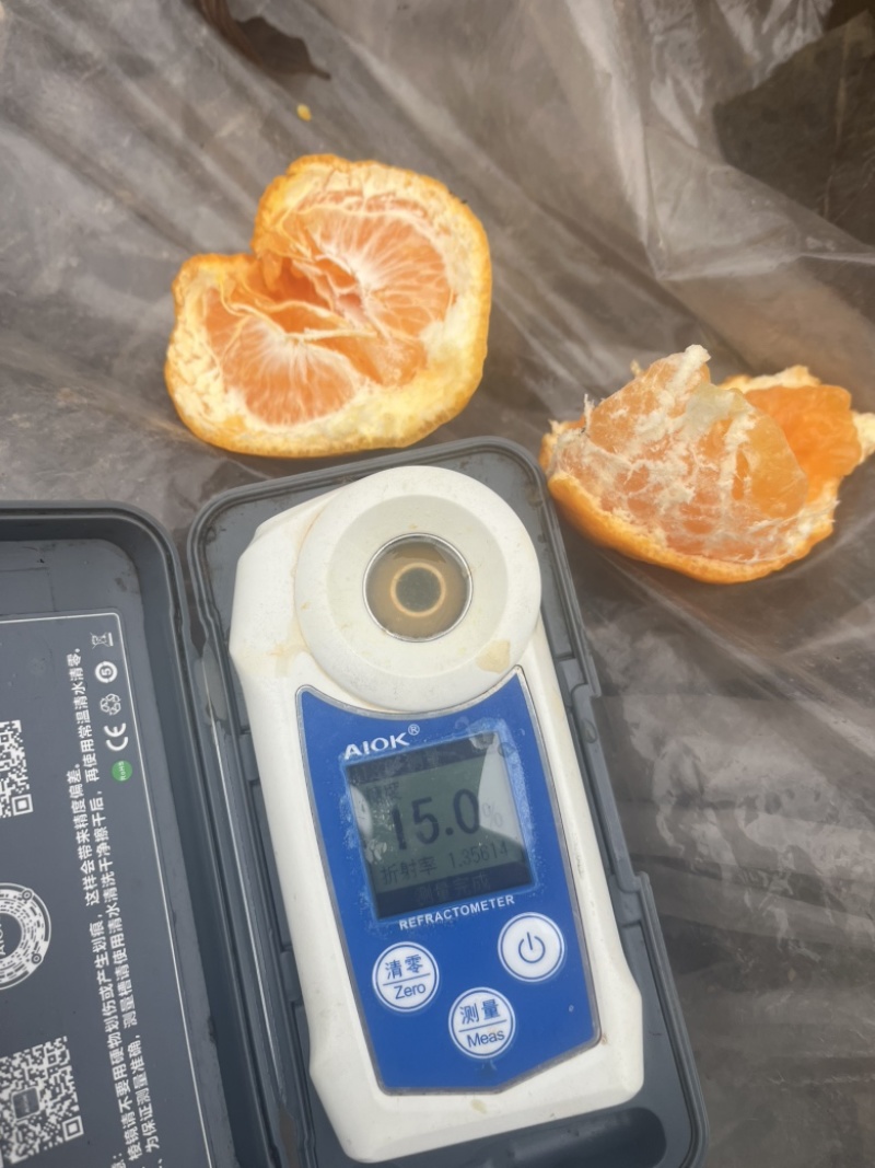 春见耙耙柑专场