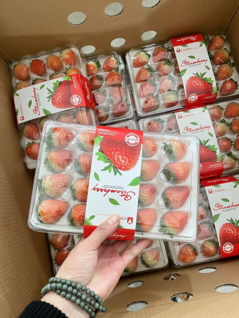 草莓【江苏奶油草莓】支持视频看货，可发往全国市场！