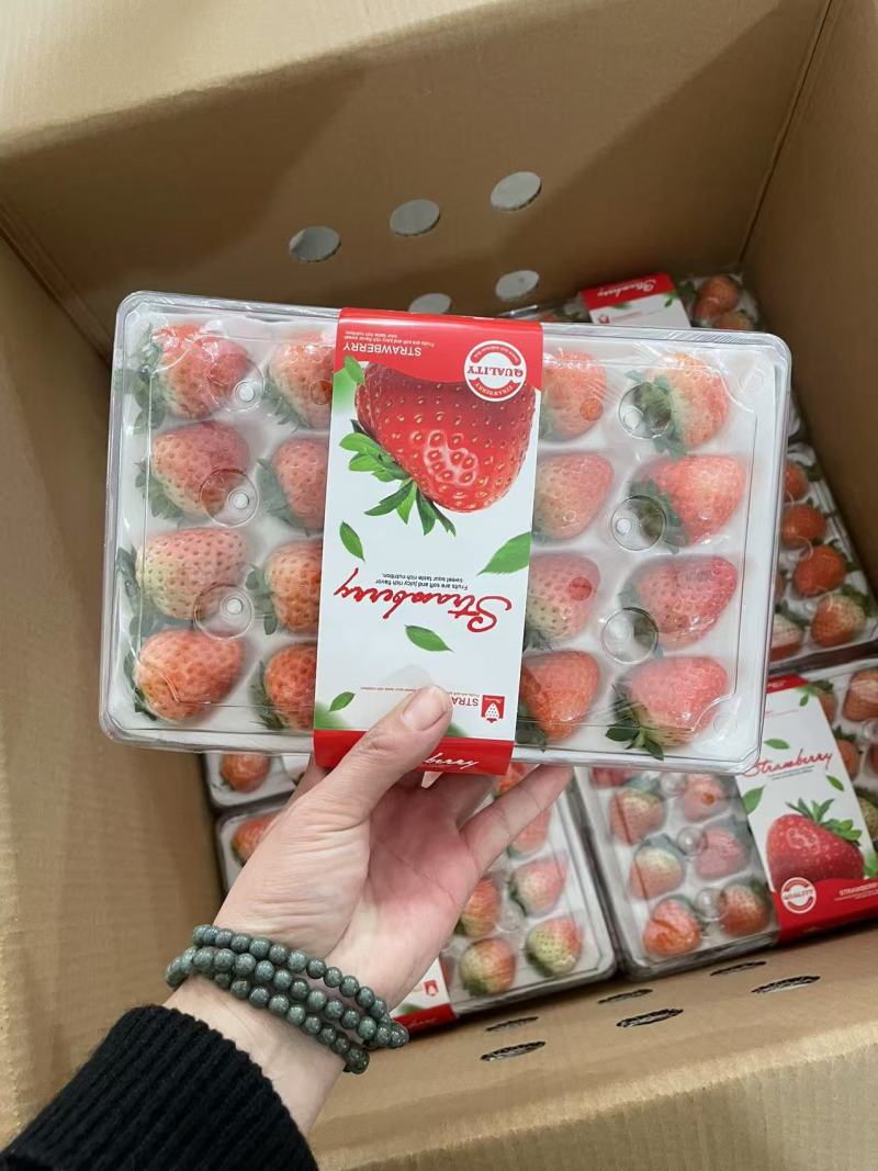 草莓【江苏奶油草莓】支持视频看货，可发往全国市场！