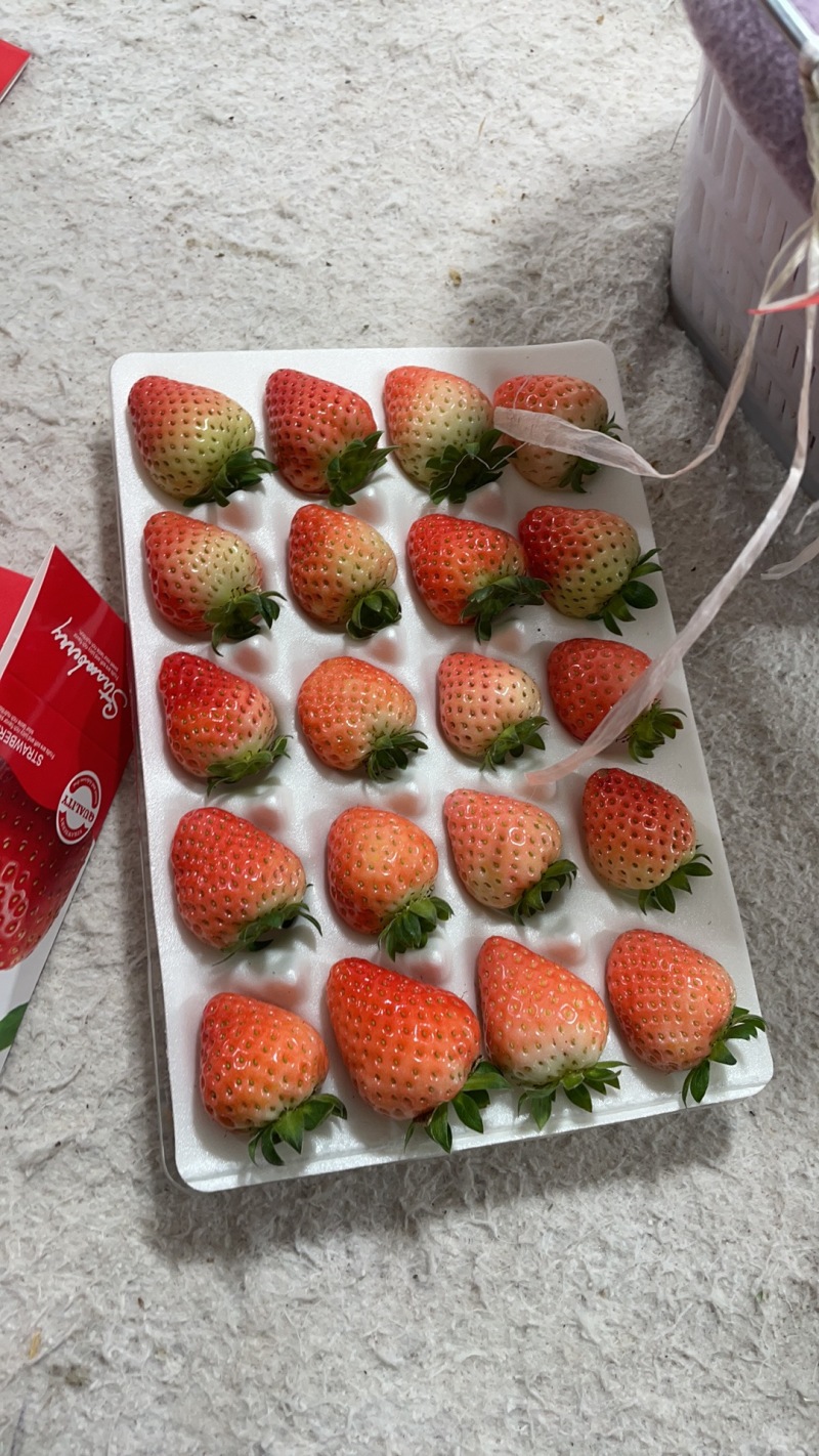 草莓【江苏奶油草莓】支持视频看货，可发往全国市场！