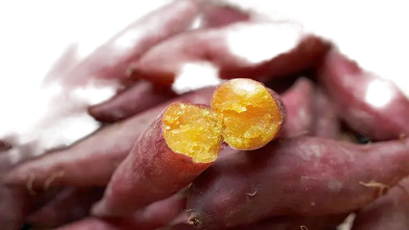 赣南红薯干