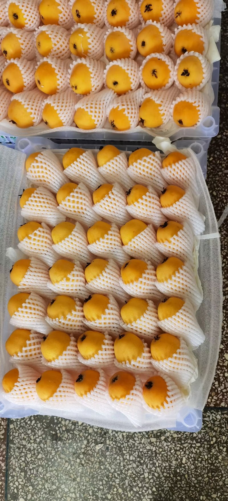 云南蒙自枇杷